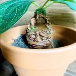 Le Refuge Des Mans-raudeurs Apartman *